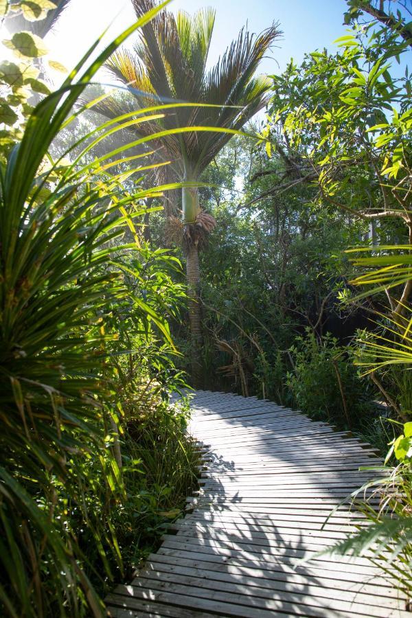 Seascapes Villa Punakaiki Eksteriør bilde